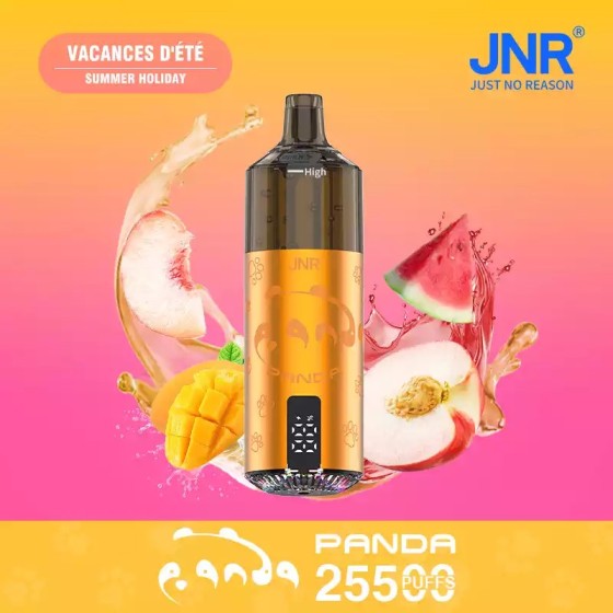 JNR Panda – Summer Holiday (fruité frais)