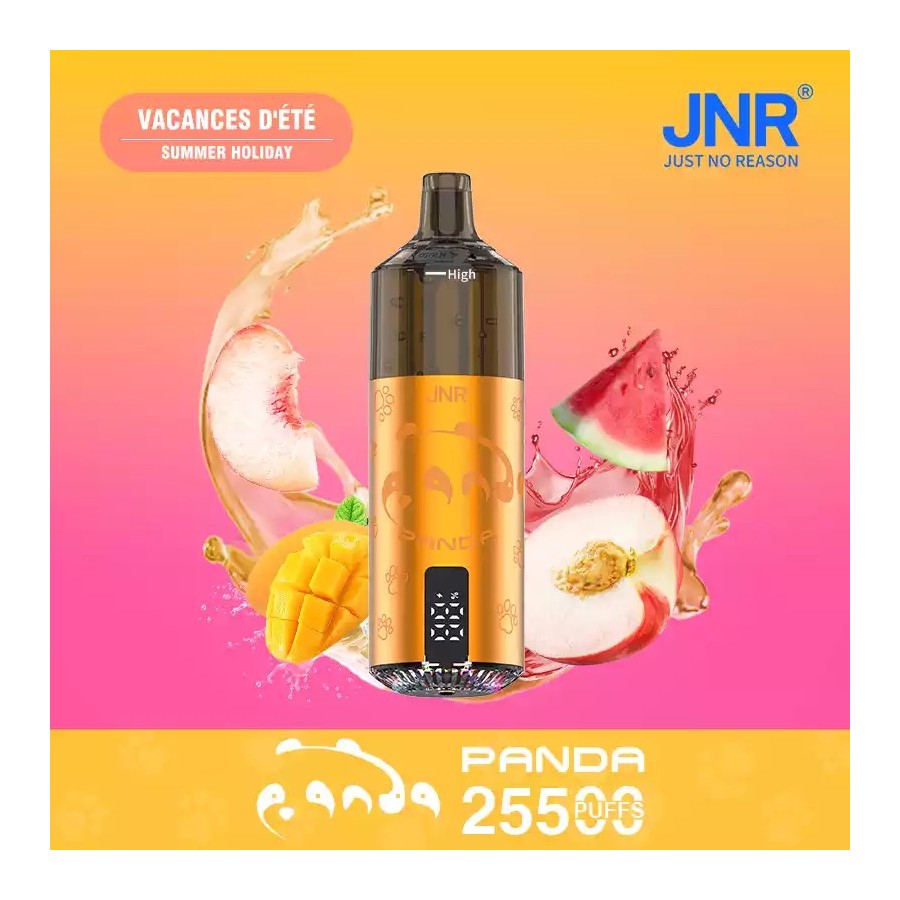 JNR Panda – Summer Holiday (fruité frais) JNR Panda – Summer Holiday (fruité frais)