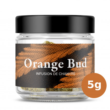 KIEF - Orange Bud Infusion Bocal 5g