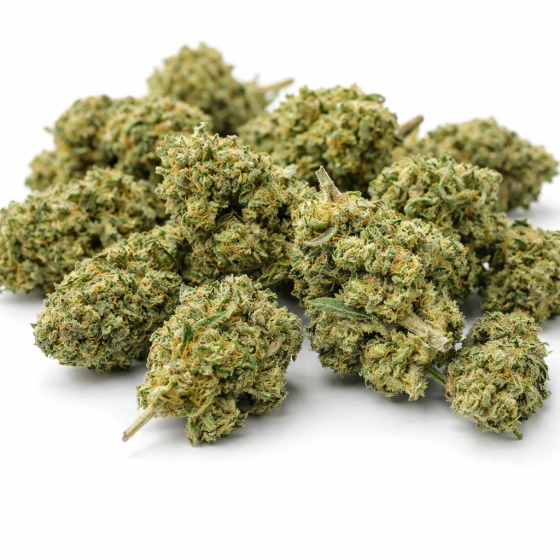 Zkittlez  - Greenhouse - 371