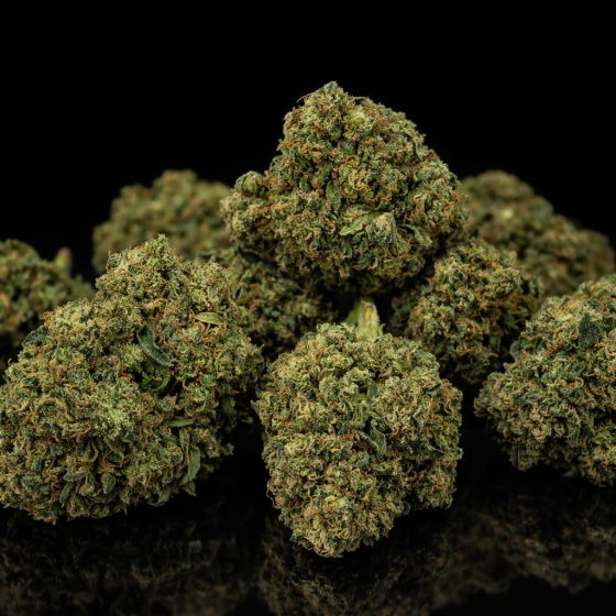 Candy Kush  - Indoor - 372