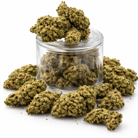 Candy Kush  - Indoor - 372