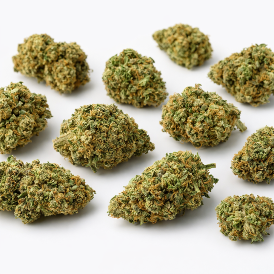 Gelato  - Greenhouse - 372