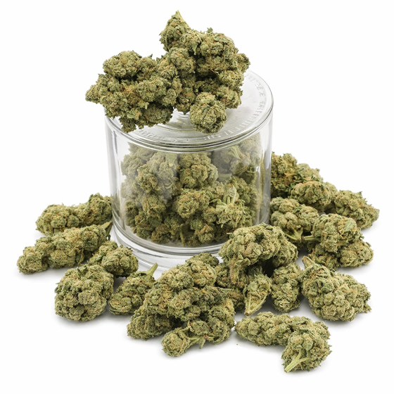 Candy Kush  - Indoor - 372