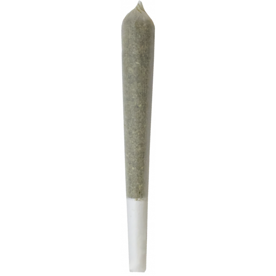 Joints pré-roulés CBD ZION Orange Bud