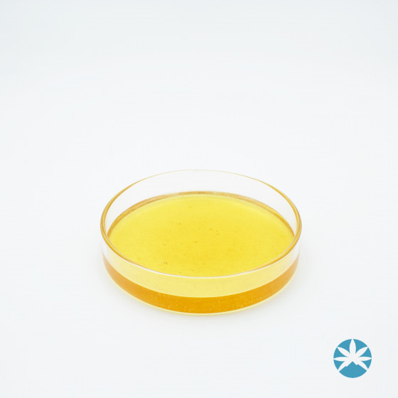 Extraction CBD Distillat Cristal Resistant