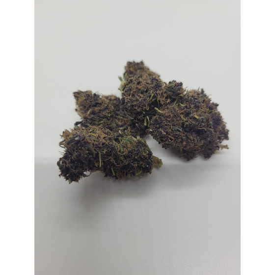 Purple Haze - Indoor