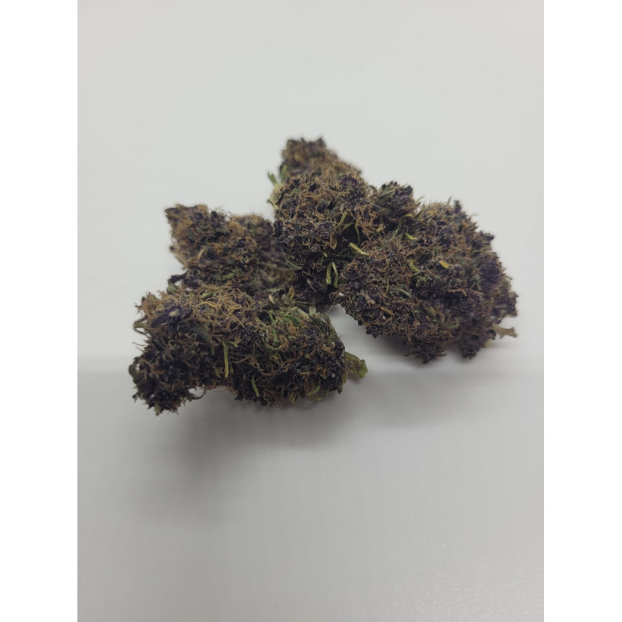 Purple Haze - Indoor