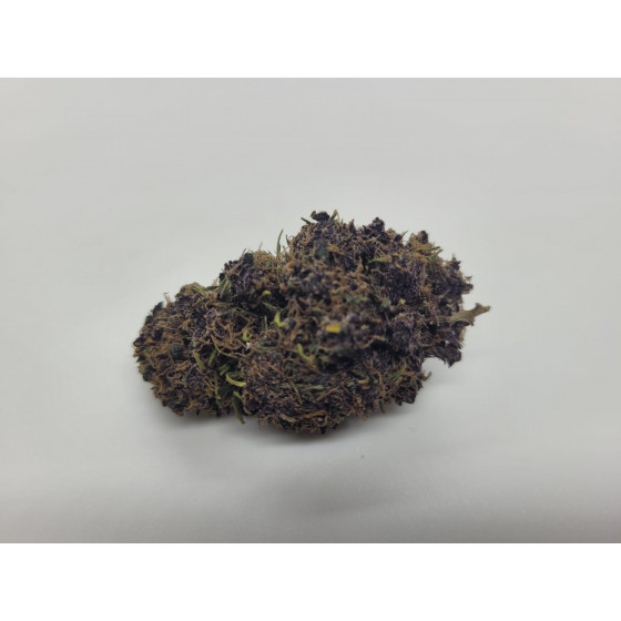 Purple Haze - Indoor