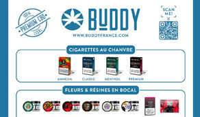 Buddy sur CBD Actu